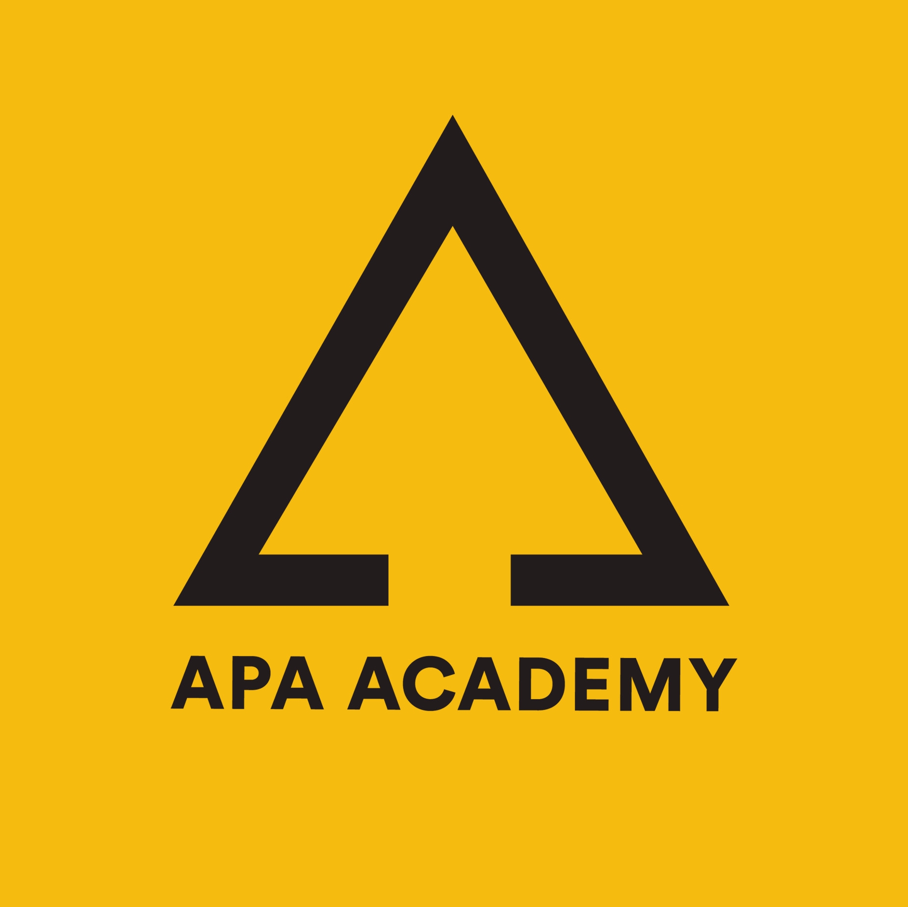 APA ACEDEMY